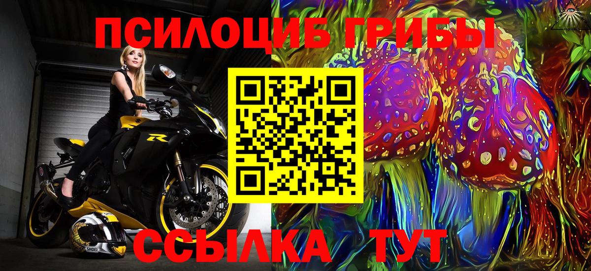 Галлюциногенные грибы ЛСД  Галлюциногенные грибы Cubensis  Вход с VPN  Михайловка 